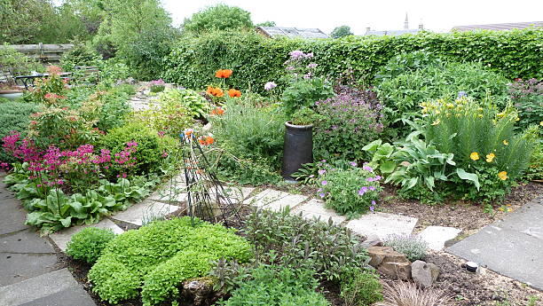 istock Spring in a Scottish country garden 496882040