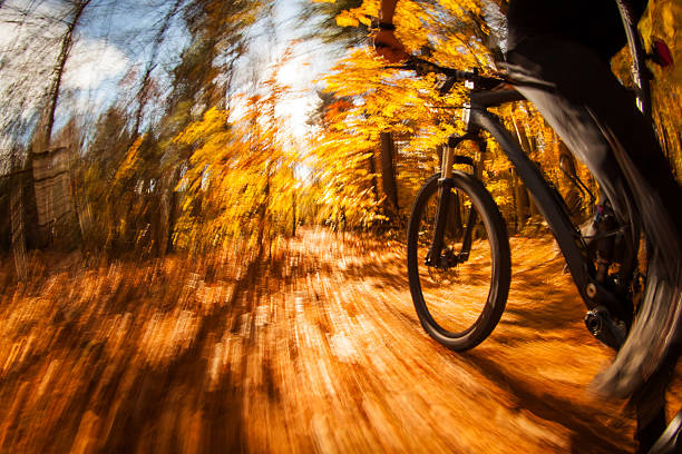 istock Mountain biking on a bright and crisp fall day 496882452