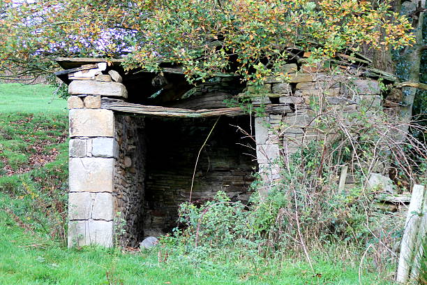 istock Derelict barn / cattle shed in field in Yorkshire Dales 496883424