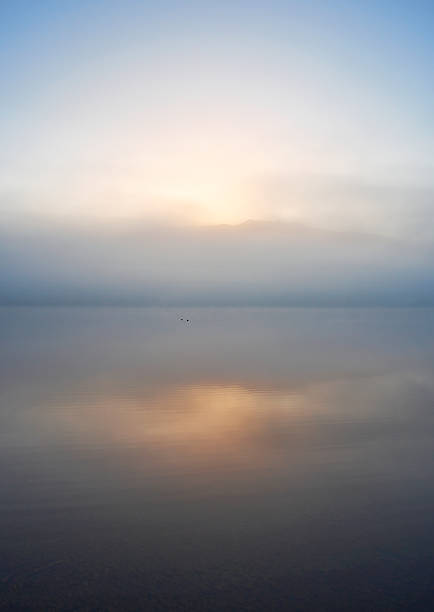 istock Dawn Mist Over Lake Kaniere 496883704