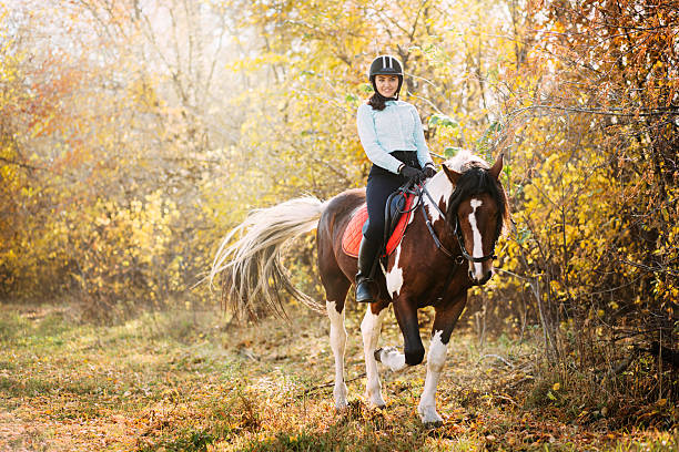istock Girl riding a horse 496884172