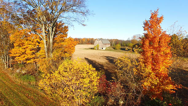 istock Rustic Barn Amid Scenic Autumn Splendor 496885726