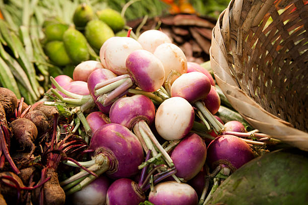 Large basket full of fresh turnips from a vegetable garden.  The turnips are purple and white in color and are lying with other vegetables from the same garden. Organic foods.  No people.