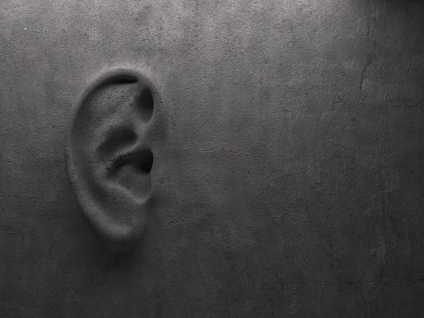 concetto di orecchio sulla parete - orecchie grandi foto e immagini stock