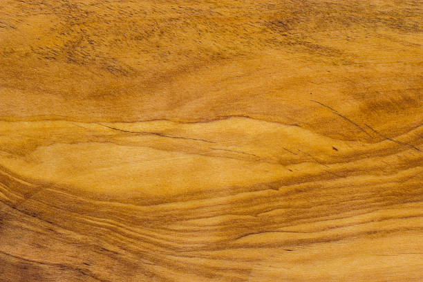 istock Wooden wall texture, brown old wood background 496888926