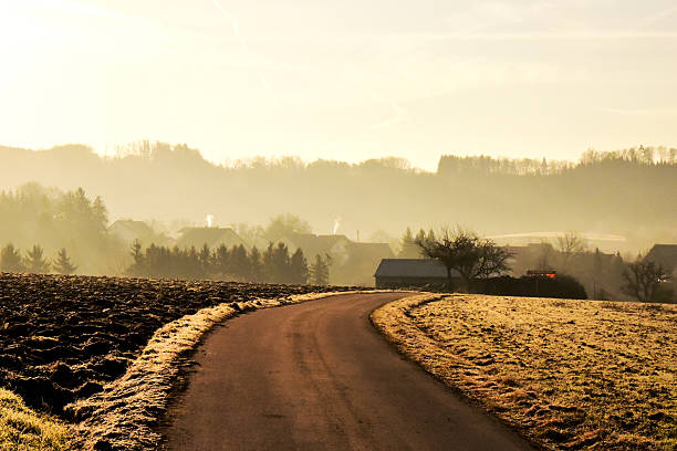 istock Path toward misty village 496913424