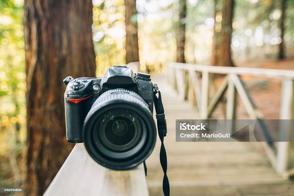 Dslr Camera In A Forest Stock Photo - Download Image Now - 2015, Black  Color, Camera - Photographic Equipment - iStock
