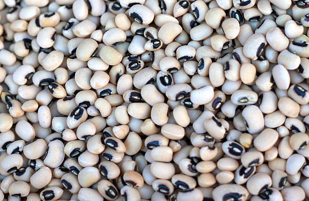 istock Black-Eyed Peas (Hundreds), Full Frame Close-Up 496916166