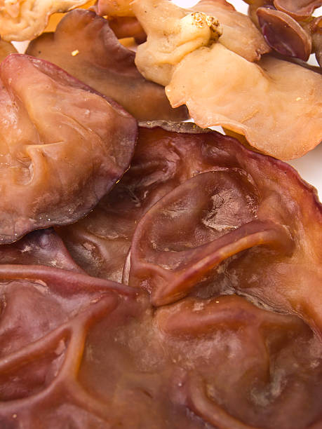 istock Closeup of Auricularia auricula as background 496917231