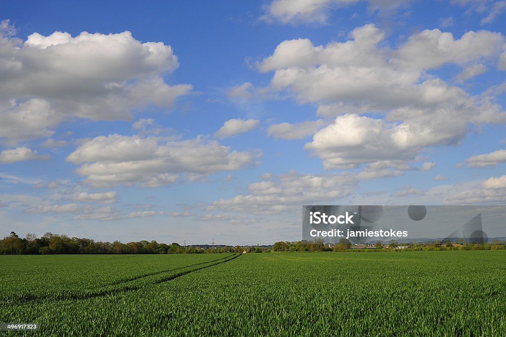 Big bewölkten Himmel über grünen Rasen - Lizenzfrei Corsham Stock-Foto