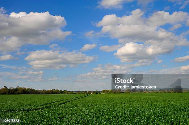 Big Bewölkten Himmel Über Grünen Rasen Stockfoto und mehr Bilder von Corsham - Corsham, Wiltshire, Baum
