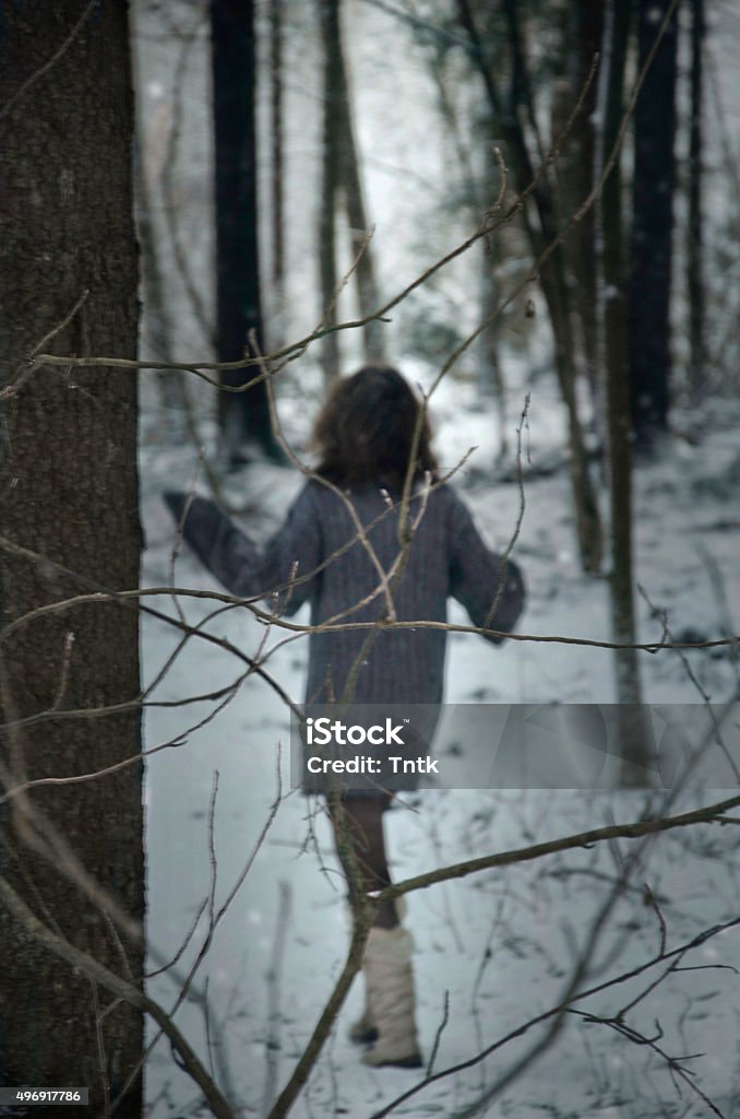 winter's tale girl in forest, winter walk in the woods 2015 Stock Photo