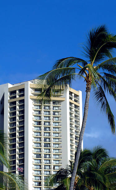istock Apartment Life in Waikiki 496918173