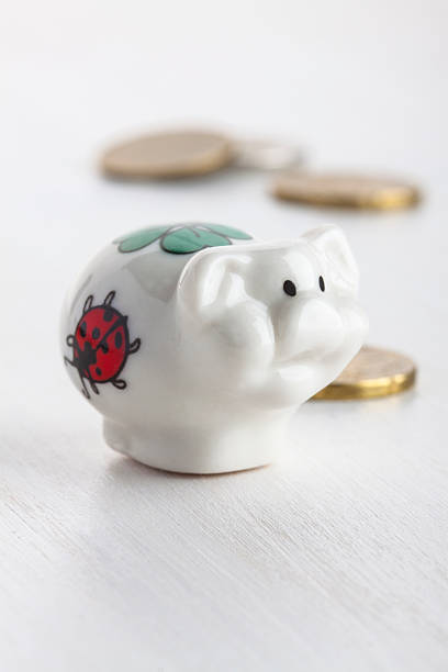 istock little porcelain piggy with coins 496919045