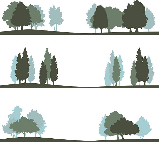 の異なる風景に囲まれての木 - poplar tree illustrations点のイラスト素材／クリップアート素材／マンガ素材／アイコン素材