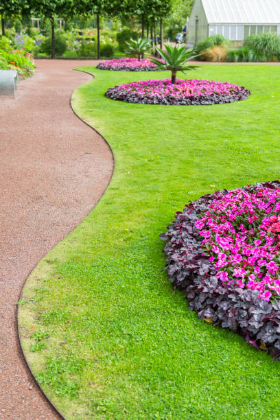istock Flowerbeds and small palm trees 496920638