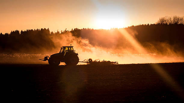 Tractor in sunset light stock photo