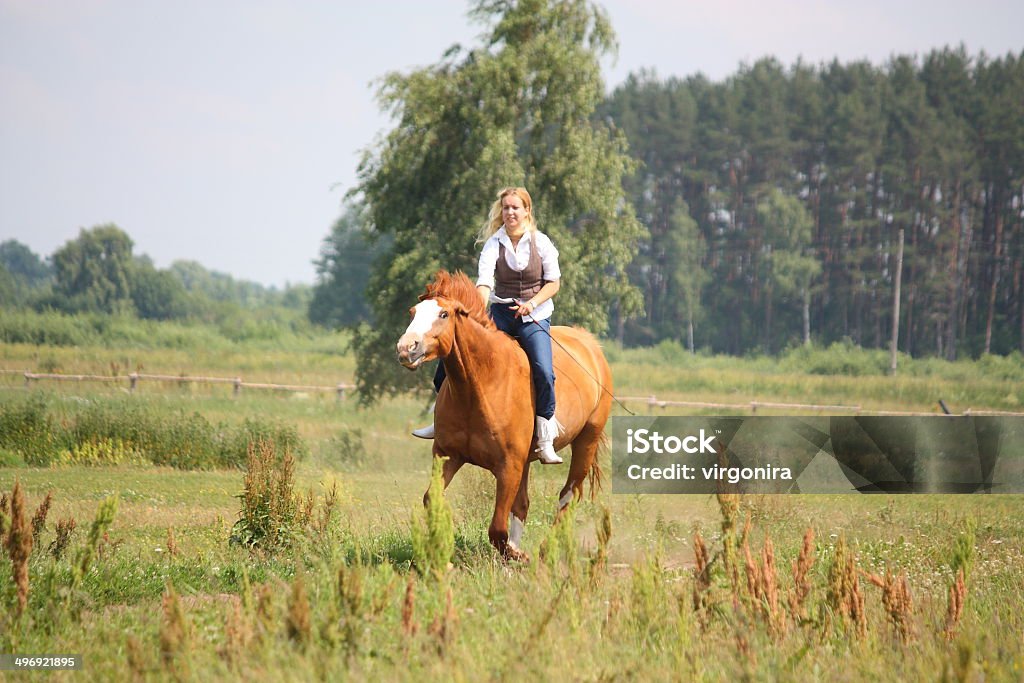 Linda mulher loira passeio a cavalo sem sela - Foto de stock de Adulto royalty-free