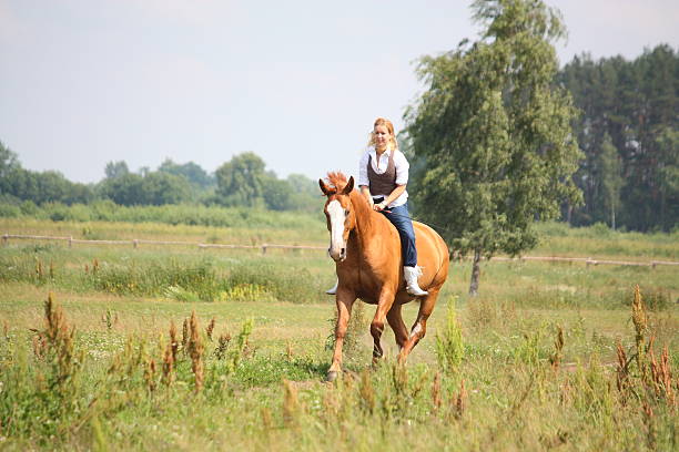 beautiful blonde woman riding horse bareback - bareback стоковые фото и изображения