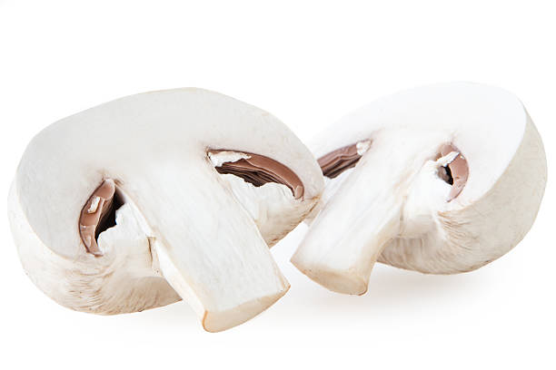 istock champignon mushroom and isolated on white background 496922598