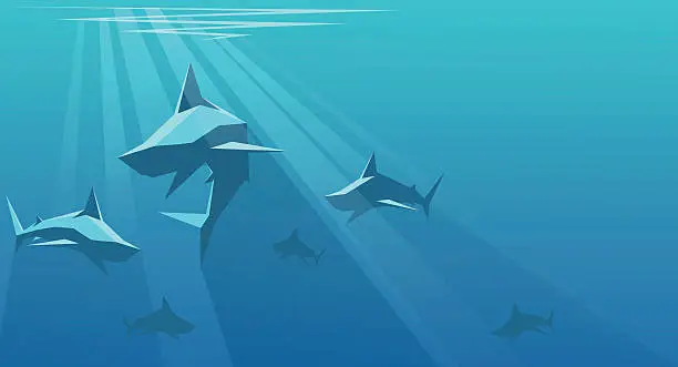 Vector illustration of Sharks