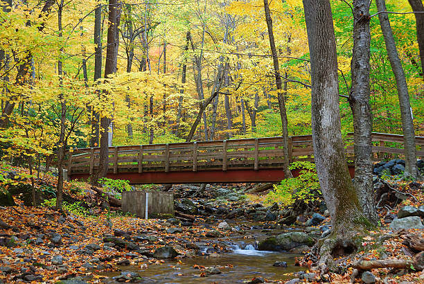 istock Autumn wood bridge 496923661