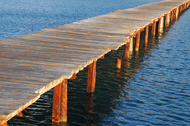 istock wooden beach pier 496923855