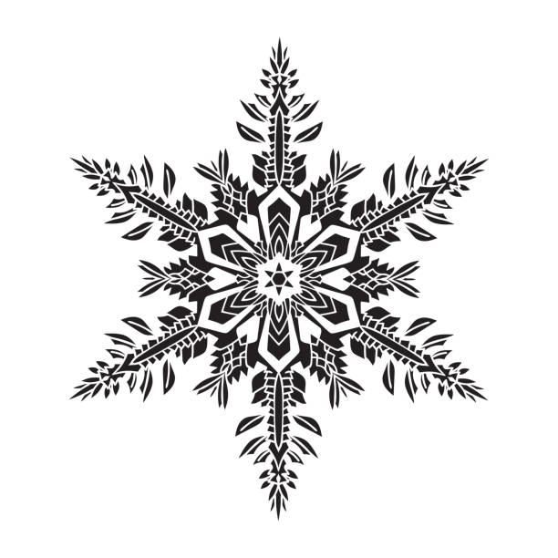 Ilustración de A Mano Silueta De Copo De Nieve Realista Negro Sobre Fondo Blanco Fácil De Editar y más Vectores Libres de Derechos de 2015 - iStock Ilustración de A Mano Silueta De Copo De Nieve Realista Negro Sobre Fondo Blanco Fácil De Editar y más Vectores Libres de Derechos de 2015 - iStock