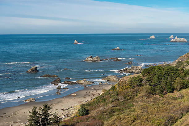 istock Harris Beach State Park Oregon Ocean Trees Rocks Sand Sky 496927542