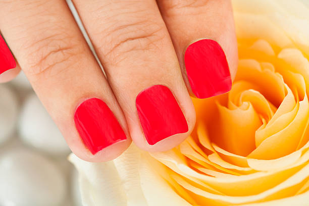 istock Female Hand Over Flower 496927922