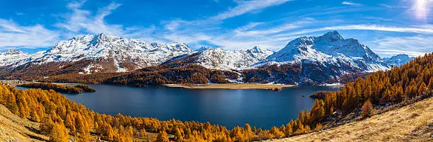 Panorama view of Sils lake and the swiss alps in Upper Engadine with golden trees  in autumn, Canton of Grisons, Switzerland.