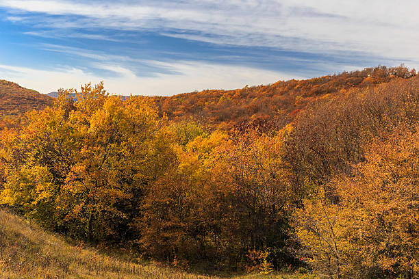 istock Spring on Ahsunskom Pass.Azerbaijan 496928674
