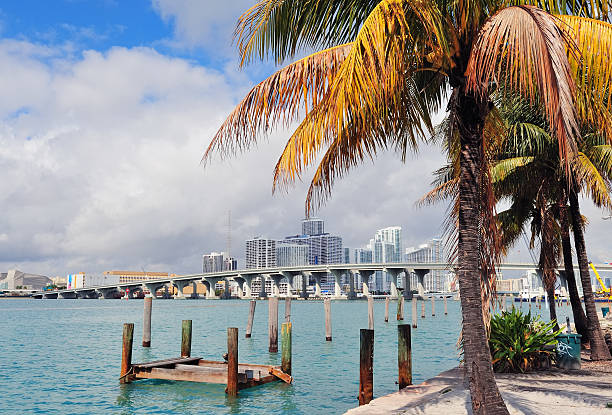 istock Miami city tropical view 496943199