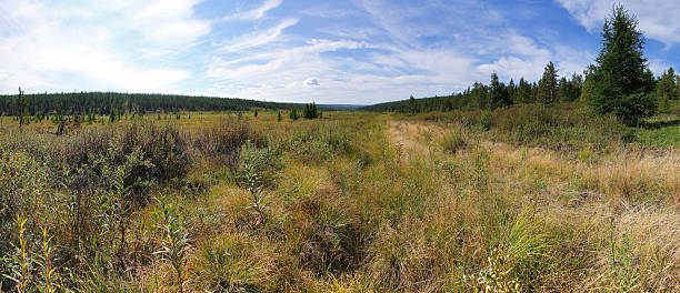 istock Valley in Southern Yakutia 496944273