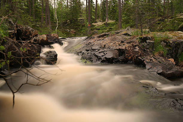istock Natural river, nature reserve in Sweden 496946239