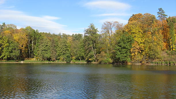 istock the beautiful autumn landscape with river in park 496948218