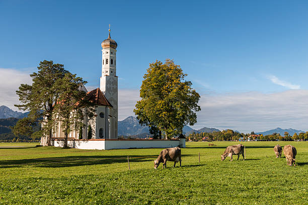 st coloman церковь, schwangau, fussen, бавария с всех кантонах - st colomans church стоковые фото и изображения