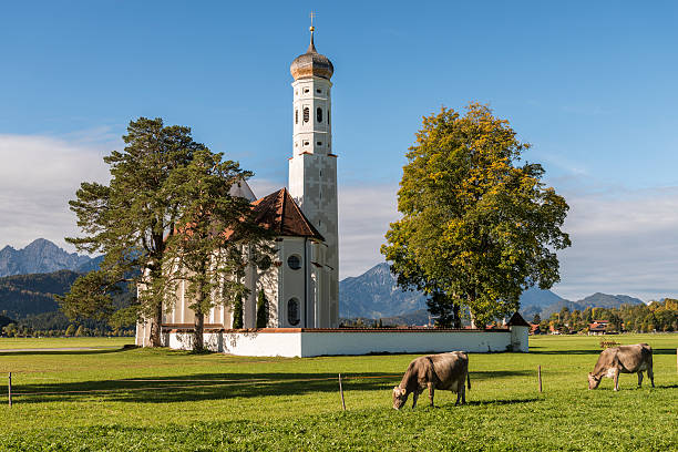 igreja de são coloman schwangau, fussen, bavária com as vacas - st colomans church - fotografias e filmes do acervo