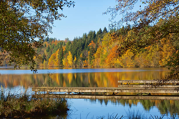 automne et de la nature - power ballad photos et images de collection