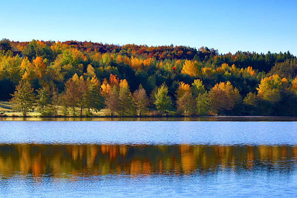 automne et de la nature - power ballad photos et images de collection