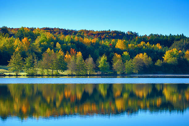 automne et de la nature - power ballad photos et images de collection