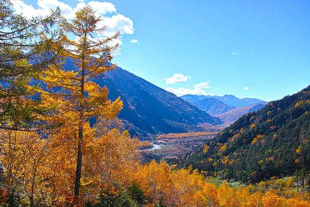 istock Kamikochi that greeted the fall foliage season 496955092