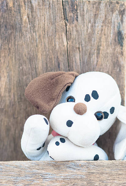 istock Stuffed retro toy dog.  focus on eyes, black and white 496955436