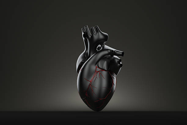 istock Still life human heart. Contains clipping path 496956792