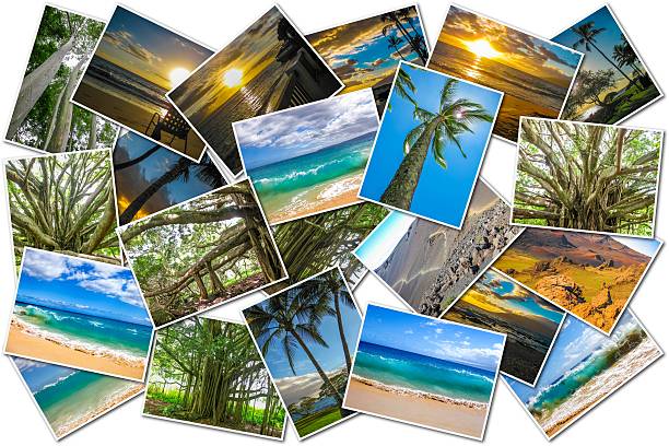 istock Maui pictures collage 496957778