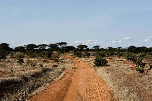 istock Red road to the African jungle 496959578