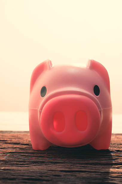 istock piggy bank 496959834
