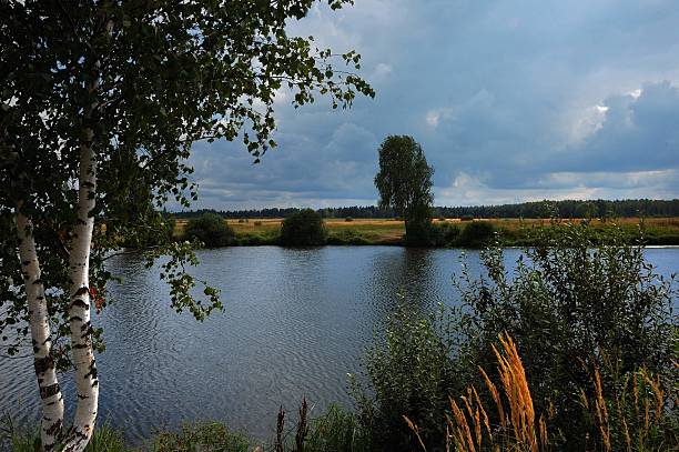 Scenic view of a small lake surrounded by forests and fields