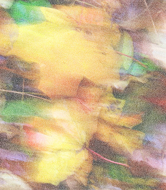 istock Abstract autumn yellow maple leaves 496961746
