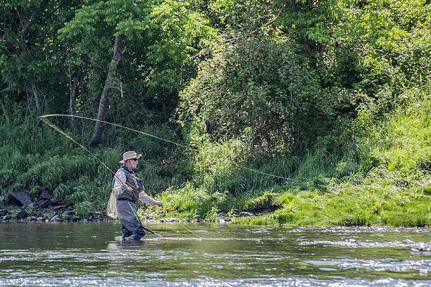 istock Trout Fishing 496967933